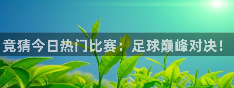 竞猜今日热门比赛：足球巅峰对决！