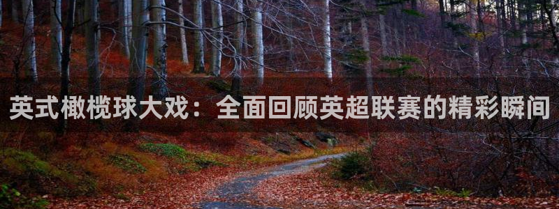 英式橄榄球大戏：全面回顾英超联赛的精彩瞬间
