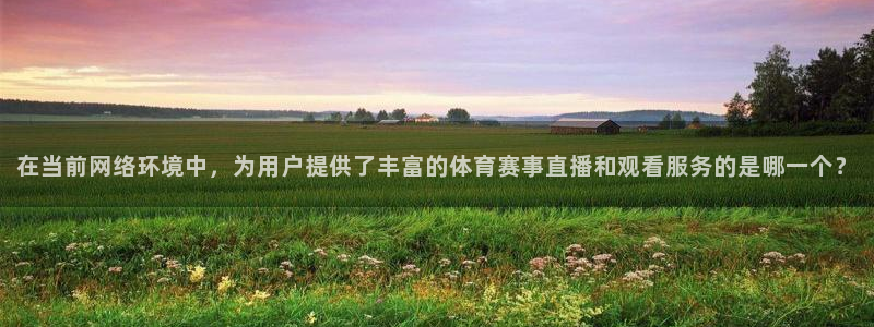在当前网络环境中，为用户提供了丰富的体育赛事直播和观看服务的是哪一个？