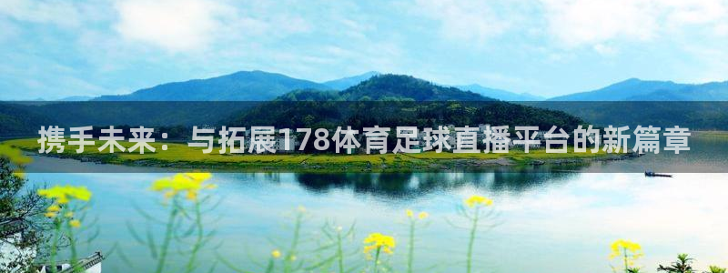 携手未来：与拓展178体育足球直播平台的新篇章