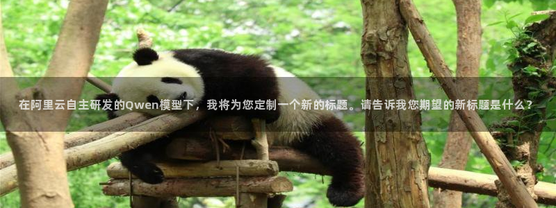 在阿里云自主研发的Qwen模型下，我将为您定制一个新的标题。请告诉我您期望的新标题是什么？