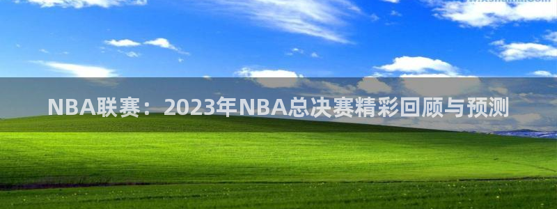 NBA联赛：2023年NBA总决赛精彩回顾与预测