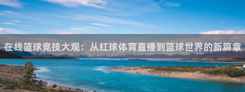 在线篮球竞技大观：从红球体育直播到篮球世界的新篇章