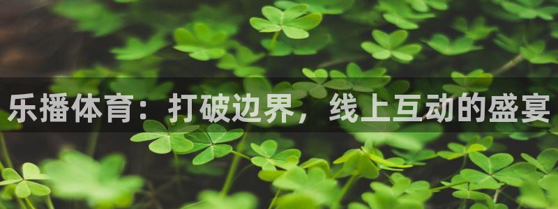 乐播体育：打破边界，线上互动的盛宴
