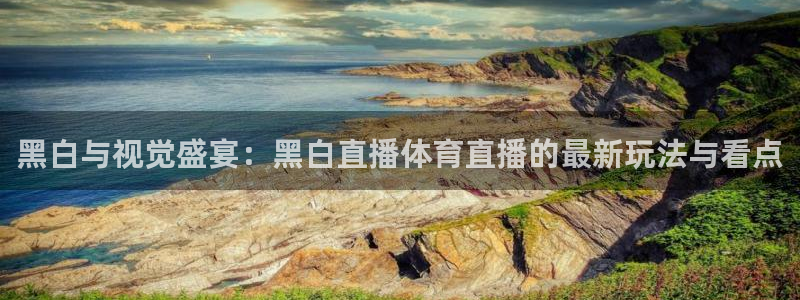 黑白与视觉盛宴：黑白直播体育直播的最新玩法与看点