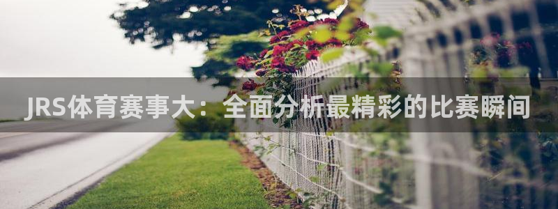 JRS体育赛事大：全面分析最精彩的比赛瞬间