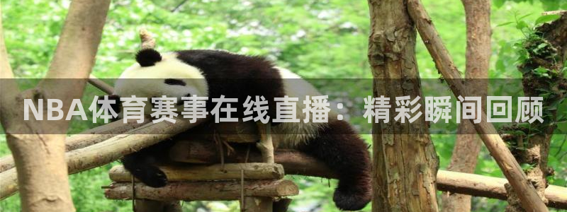 NBA体育赛事在线直播：精彩瞬间回顾