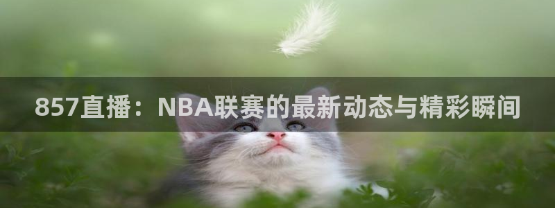 857直播：NBA联赛的最新动态与精彩瞬间
