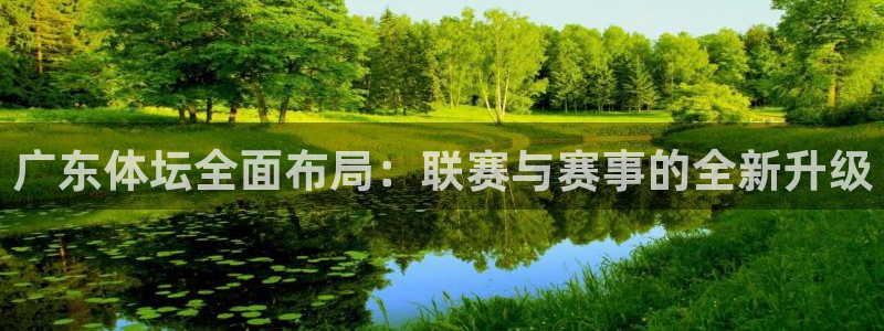 广东体坛全面布局：联赛与赛事的全新升级