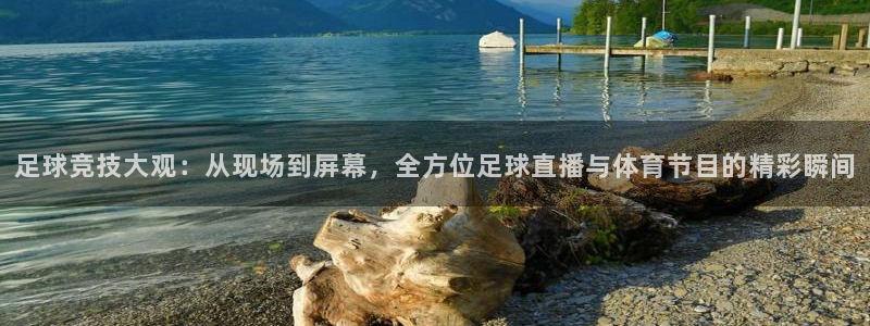 足球竞技大观：从现场到屏幕，全方位足球直播与体育节目的精彩瞬间