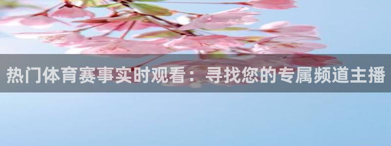 热门体育赛事实时观看：寻找您的专属频道主播