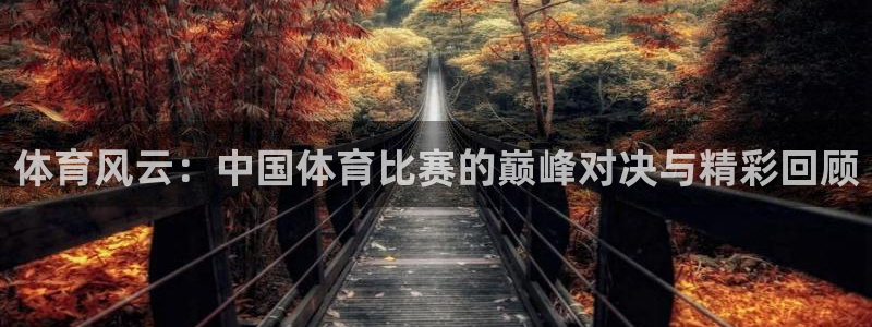 体育风云：中国体育比赛的巅峰对决与精彩回顾