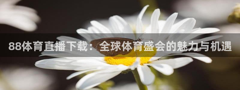 88体育直播下载：全球体育盛会的魅力与机遇