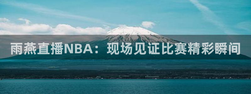 雨燕直播NBA：现场见证比赛精彩瞬间