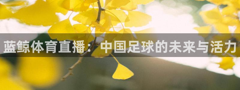 蓝鲸体育直播：中国足球的未来与活力