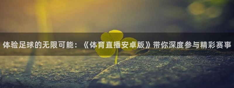体验足球的无限可能：《体育直播安卓版》带你深度参与精彩赛事