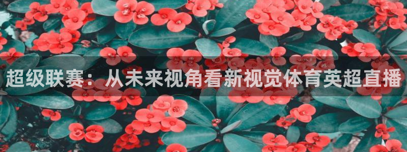 超级联赛：从未来视角看新视觉体育英超直播