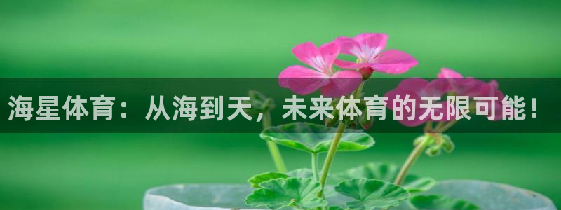 海星体育：从海到天，未来体育的无限可能！