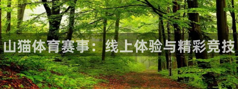 山猫体育赛事：线上体验与精彩竞技