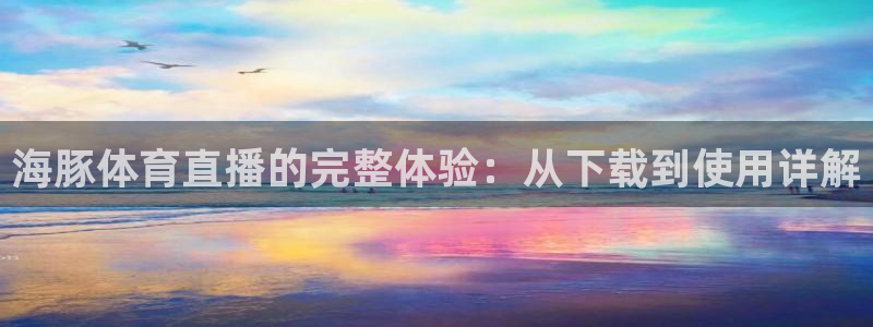 海豚体育直播的完整体验：从下载到使用详解