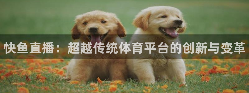 快鱼直播：超越传统体育平台的创新与变革