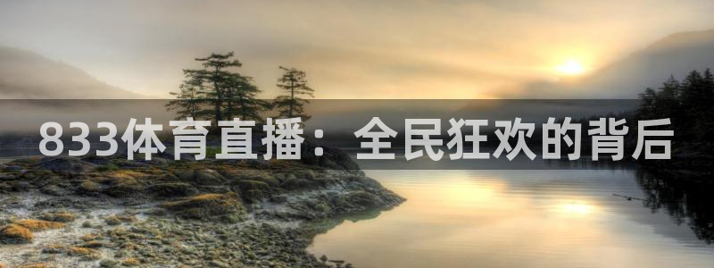 833体育直播：全民狂欢的背后