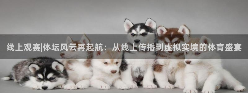 线上观赛|体坛风云再起航：从线上传播到虚拟实境的体育盛宴